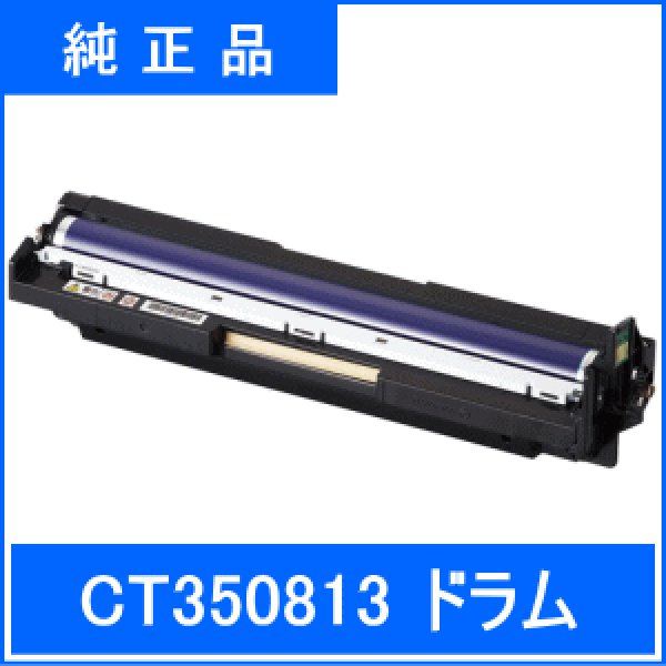 画像1: CT350813 カラー （純正品） (1)